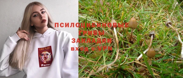 тгк Медвежьегорск