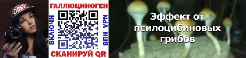 Галлюциногенные грибы GOLDEN TEACHER  Ногинск 