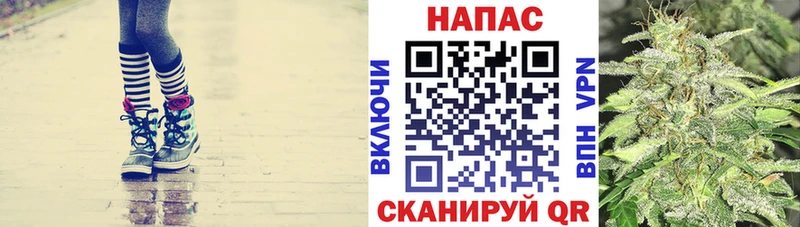 Марихуана White Widow kraken рабочий сайт даркнет формула Ногинск